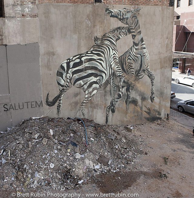 'Una Salus Victis Nullam Sperare Salutem' Faith47 street art